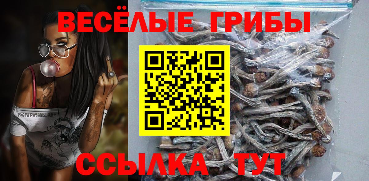 Елизово  наркота  Вход с VPN  Галлюциногенные грибы мицелий  Псилоцибиновые грибы Magic Shrooms 